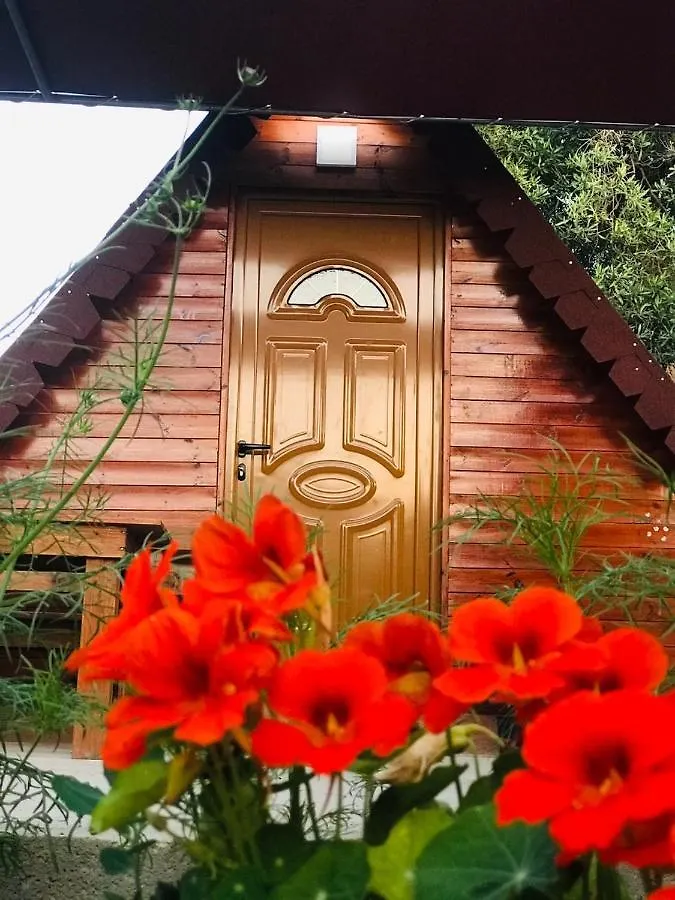 Violet Village Borsh Holiday park